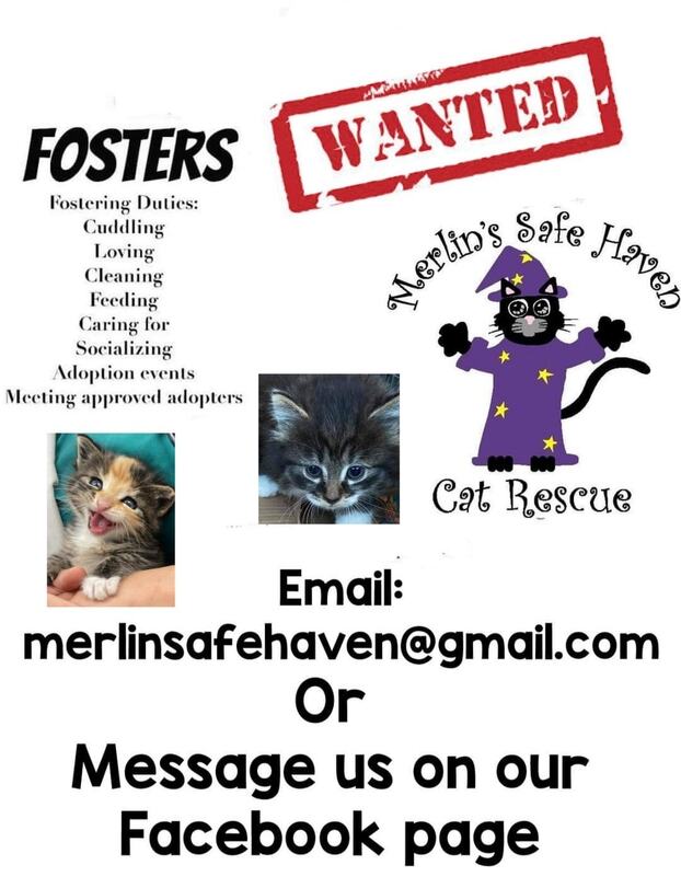 Cats R Us Feline Rescue & Adoption